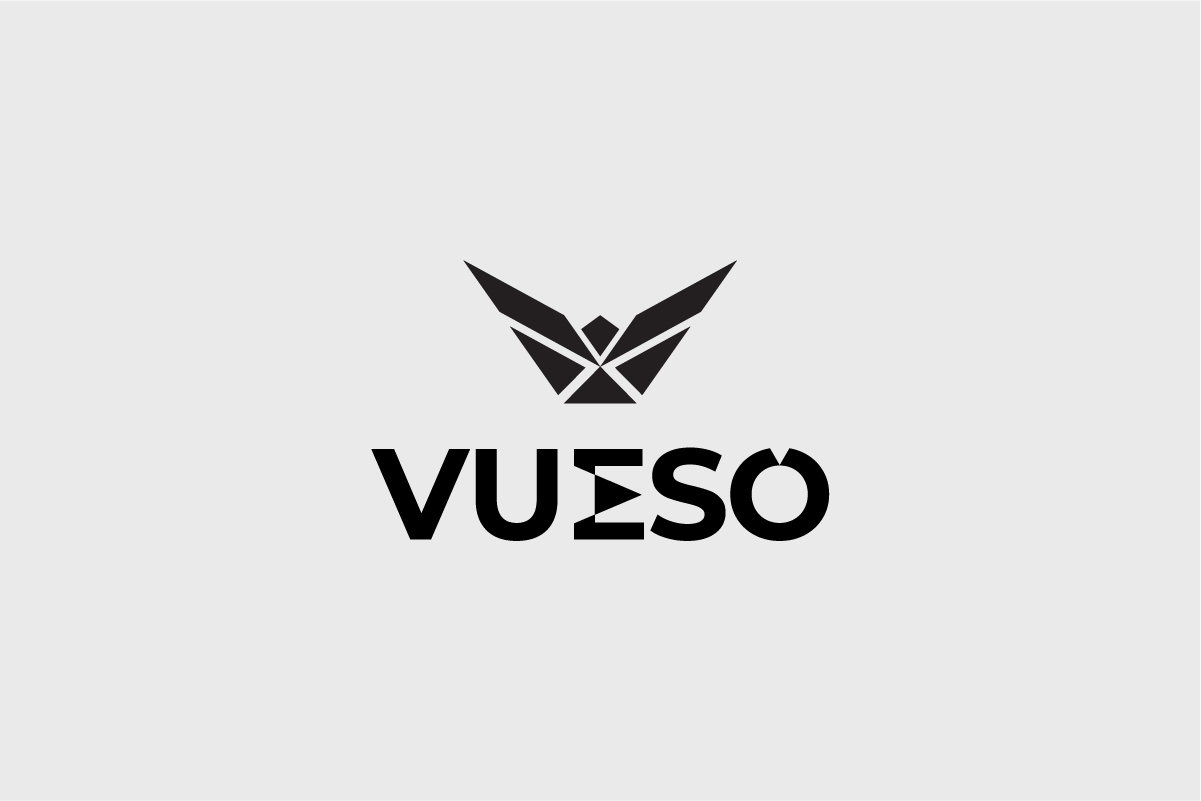 VUESO Holding Company Logo