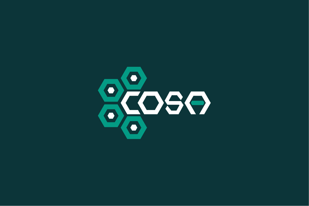 Logo project preview